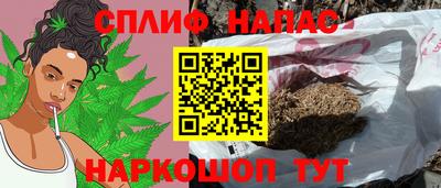 прущие грибы Ливны