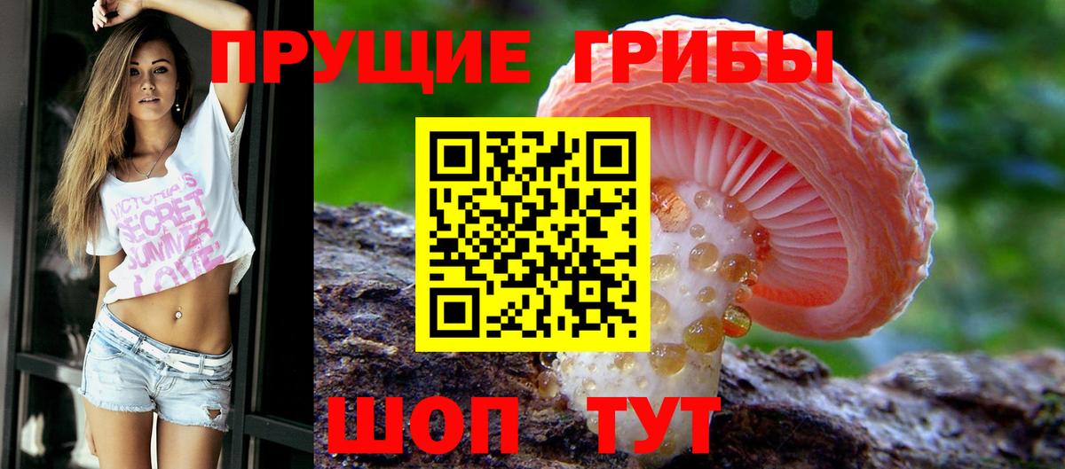 Губкин  Галлюциногенные грибы ЛСД  Вход с VPN 